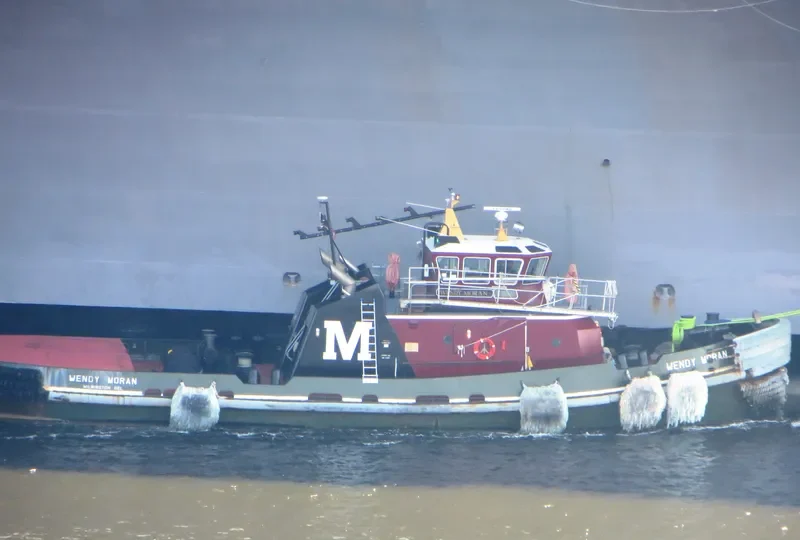WENDY MORAN General Cargo IMO 9236860 photo 2