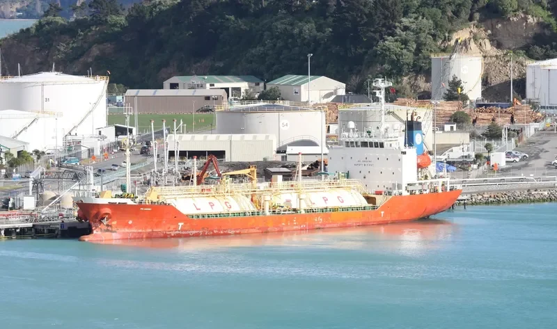 OCEAN GAS General Cargo IMO 9236901 photo 10