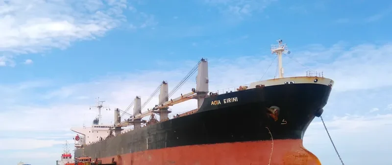 ZHEN XIANG 27 Bulk Carrier IMO 9237101 photo 3