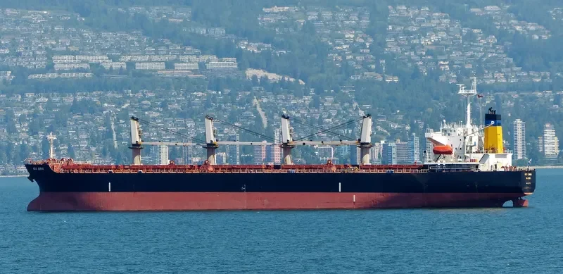 ZHEN XIANG 27 Bulk Carrier IMO 9237101 photo 8