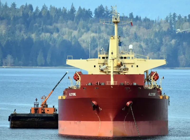 ALCYONE I Bulk Carrier IMO 9237113 photo 4