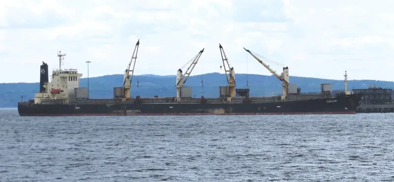 XIANG HUA Bulk Carrier IMO 9237199 photo 3