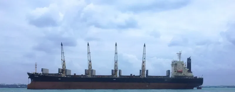 XIANG HUA Bulk Carrier IMO 9237199 photo 5