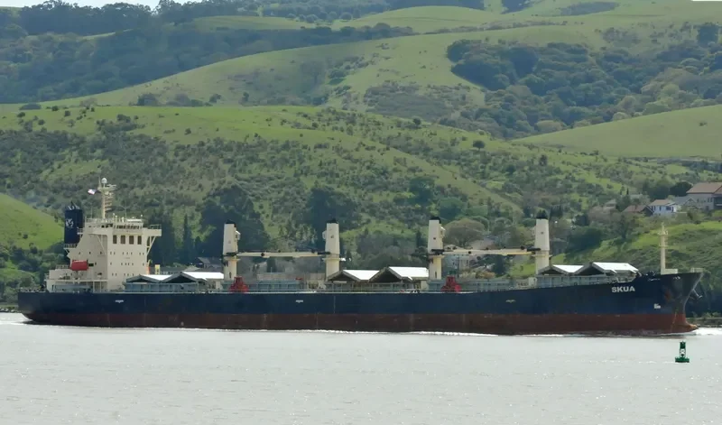 XIANG HUA Bulk Carrier IMO 9237199 photo 6