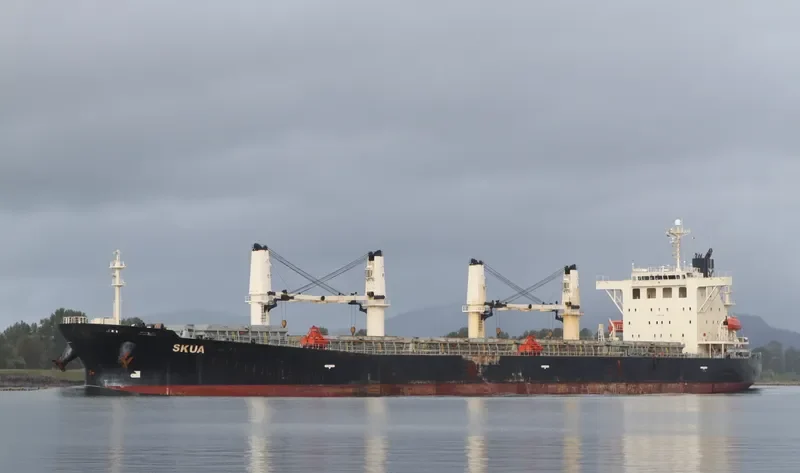 XIANG HUA Bulk Carrier IMO 9237199 photo 7