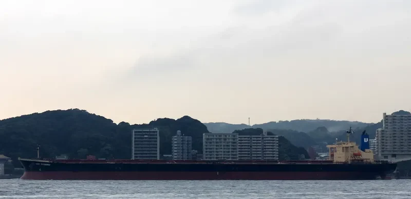 NSS DYNAMIC Bulk Carrier IMO 9237230