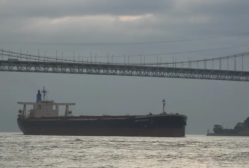 NSS DYNAMIC Bulk Carrier IMO 9237230 photo 2