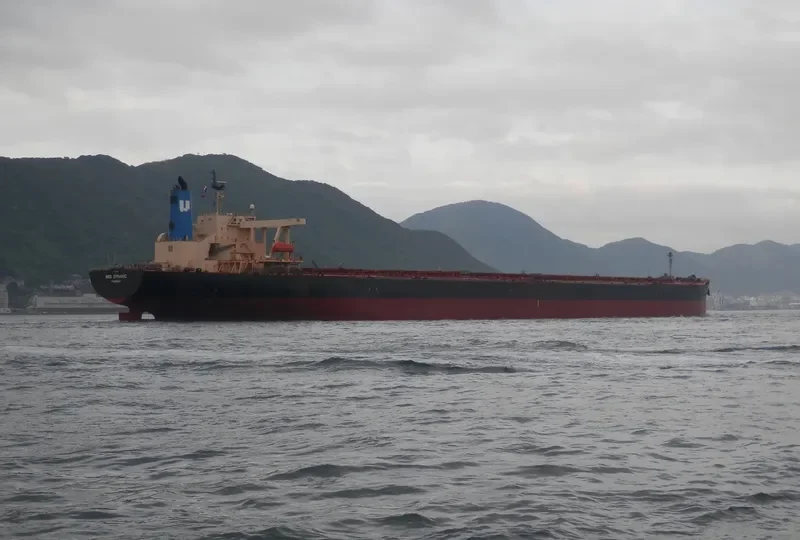 NSS DYNAMIC Bulk Carrier IMO 9237230 photo 4