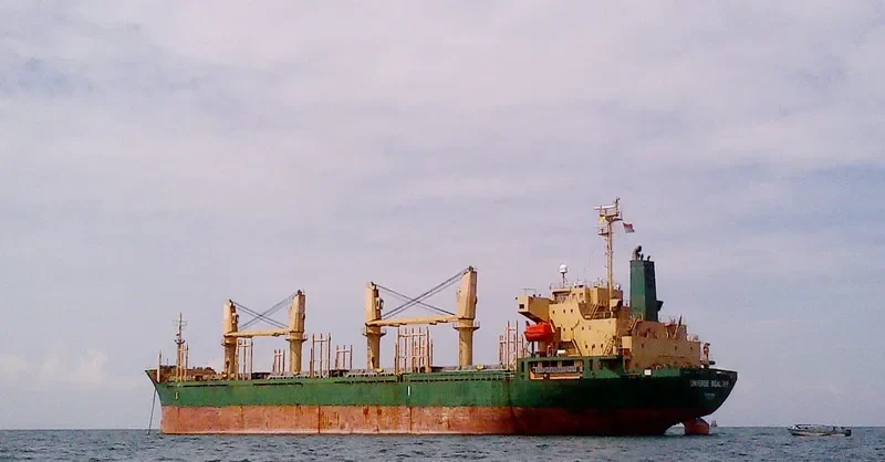 UNIVERSE WEALTHY Bulk Carrier IMO 9237280 photo 3