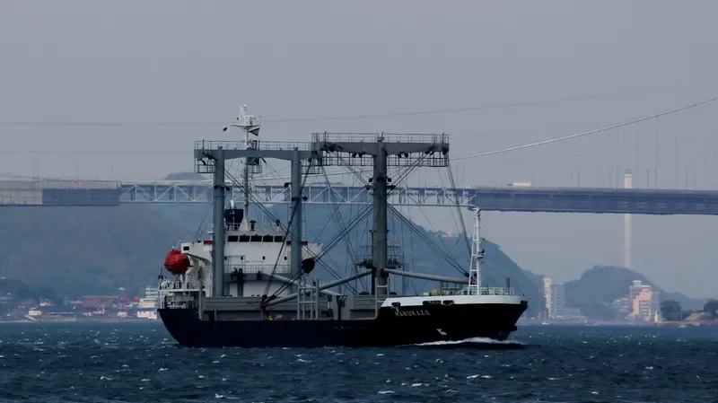 TORONEOS General Cargo IMO 9237400 photo 2