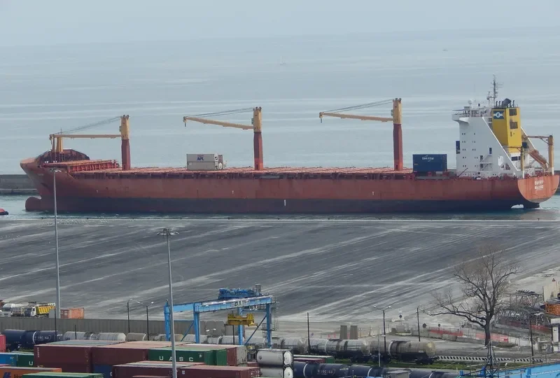 FESCO SOFIA Container Ship IMO 9237503 photo 2