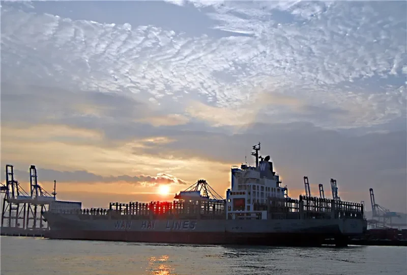 WAN HAI 303 Container Ship IMO 9238179 photo 4