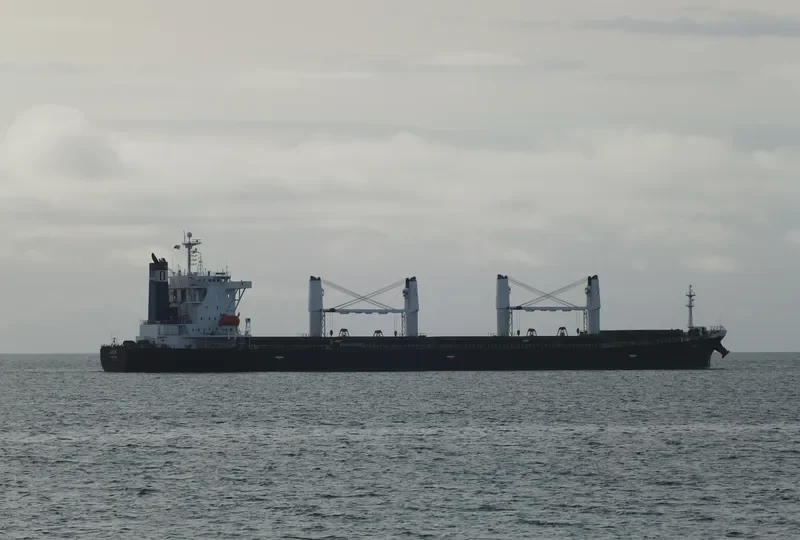 LIN HAI 6 Bulk Carrier IMO 9238210 photo 8