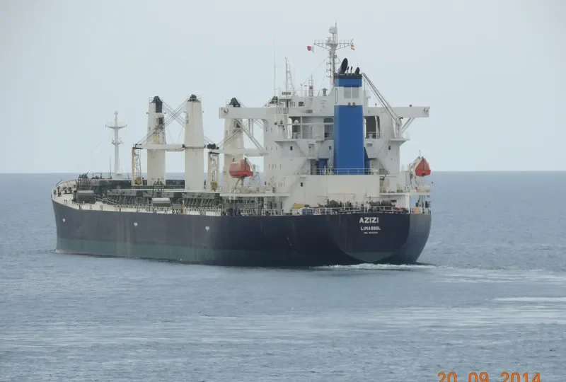 LIN HAI 6 Bulk Carrier IMO 9238210 photo 9