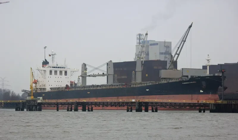 ZHONG LIANG DONG NAN Bulk Carrier IMO 9238234