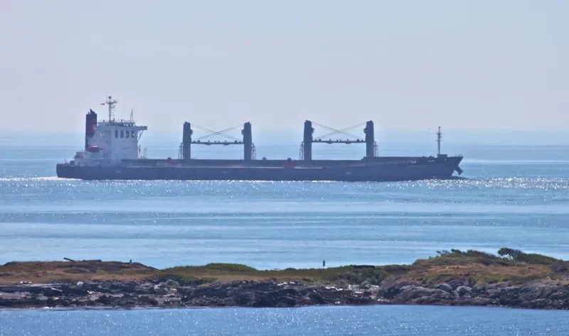 ZHONG LIANG DONG NAN Bulk Carrier IMO 9238234 photo 6