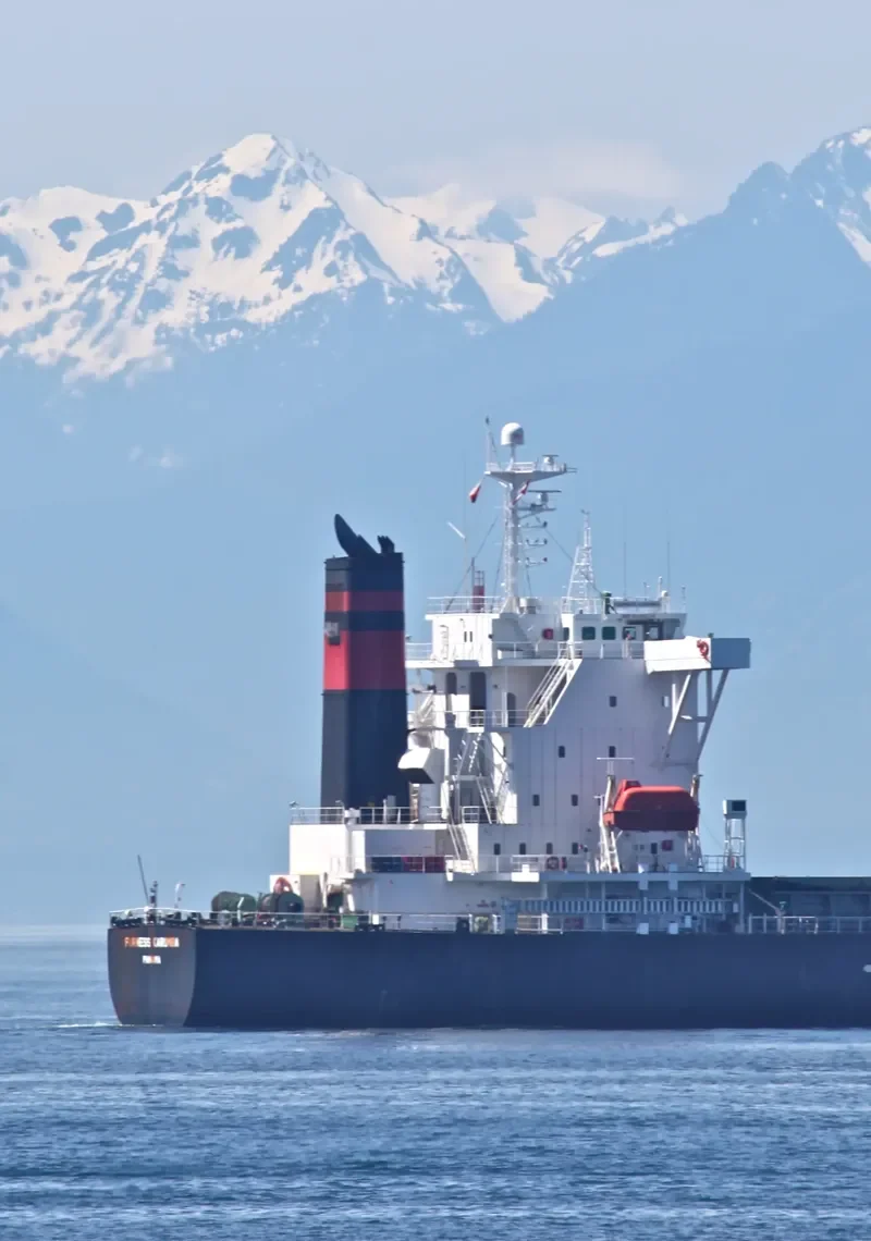 ZHONG LIANG DONG NAN Bulk Carrier IMO 9238234 photo 7