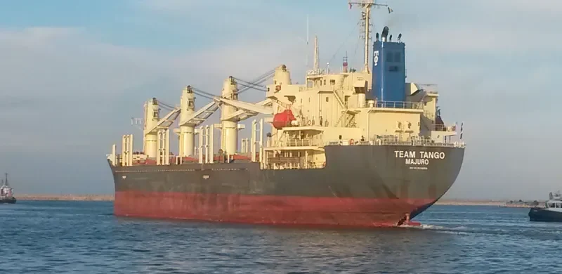SAMUDRA SAKTI I Bulk Carrier IMO 9238258