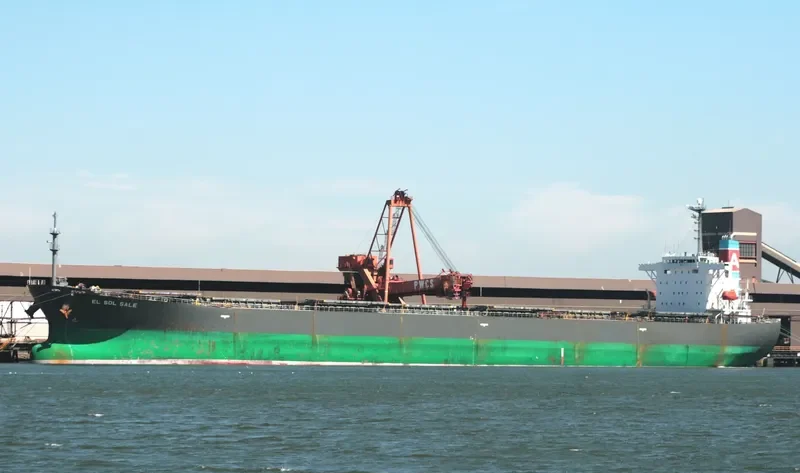 EL SOL SALE Bulk Carrier IMO 9238296 photo 3