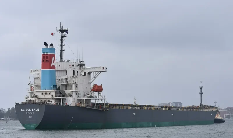 EL SOL SALE Bulk Carrier IMO 9238296 photo 7
