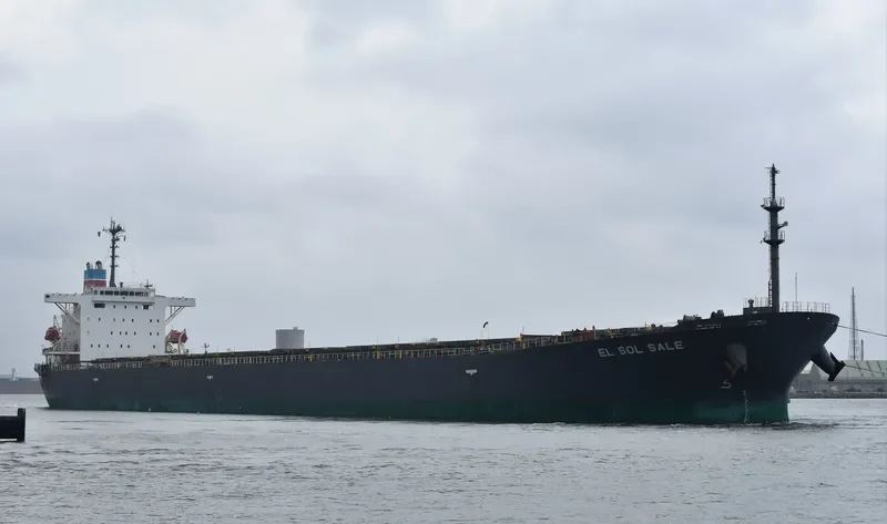 EL SOL SALE Bulk Carrier IMO 9238296 photo 8