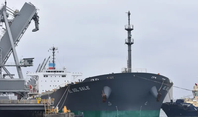 EL SOL SALE Bulk Carrier IMO 9238296 photo 9