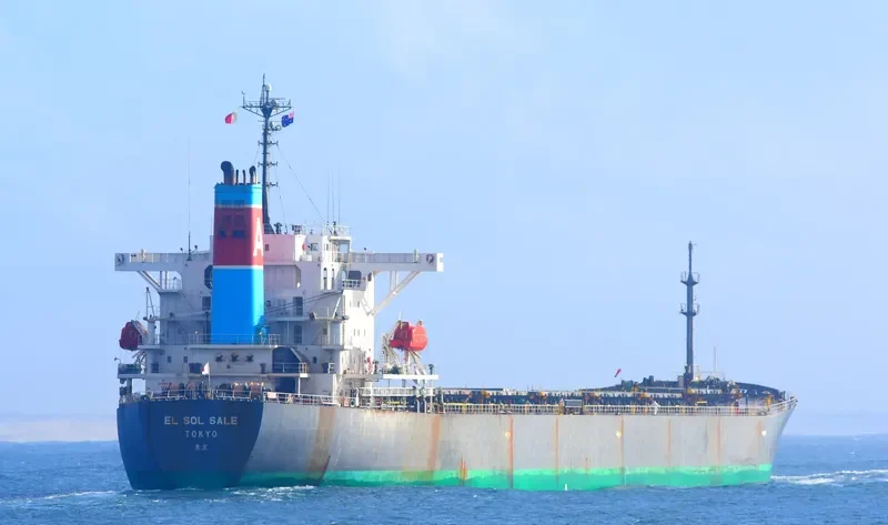EL SOL SALE Bulk Carrier IMO 9238296 photo 10