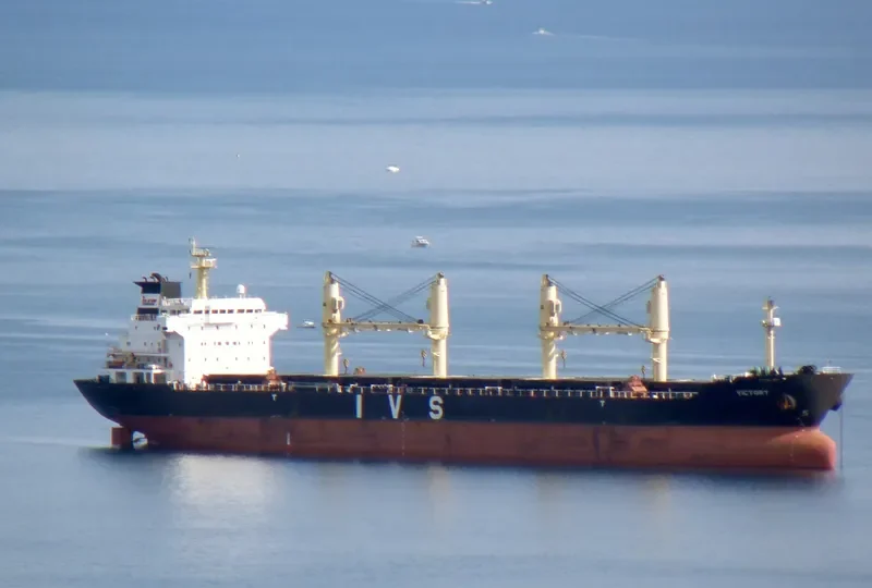 LEVROSO Bulk Carrier IMO 9238325 photo 5