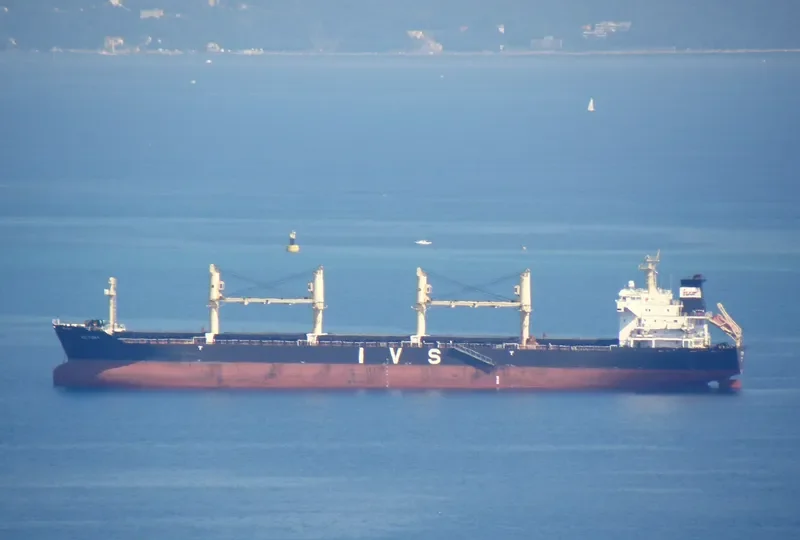 LEVROSO Bulk Carrier IMO 9238325 photo 11