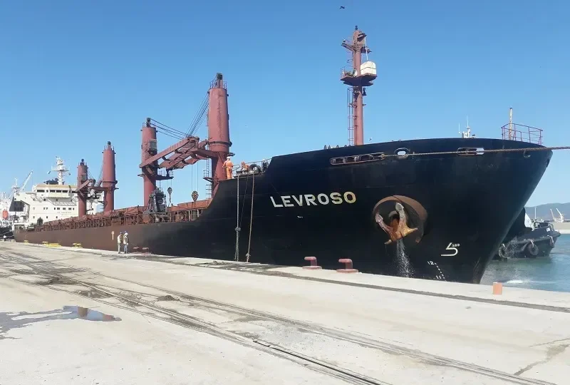 LEVROSO Bulk Carrier IMO 9238325 photo 24