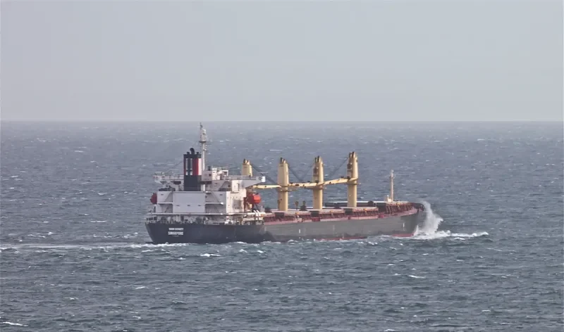 THOR INFINITY Bulk Carrier IMO 9238466 photo 9