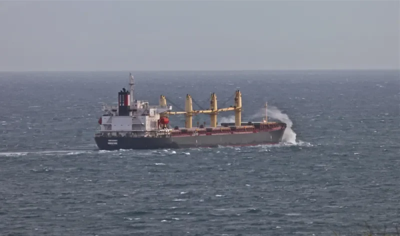 THOR INFINITY Bulk Carrier IMO 9238466 photo 10