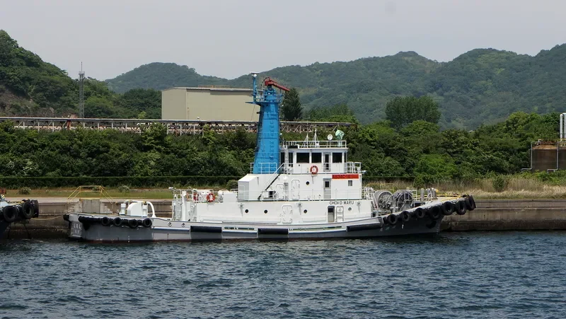 CHOKO MARU General Cargo IMO 9238533