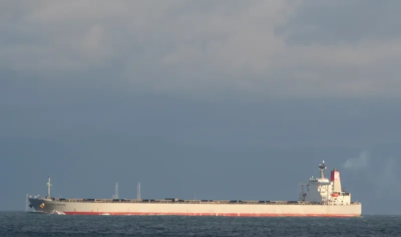CAPE ORCHID Bulk Carrier IMO 9238571 photo 2