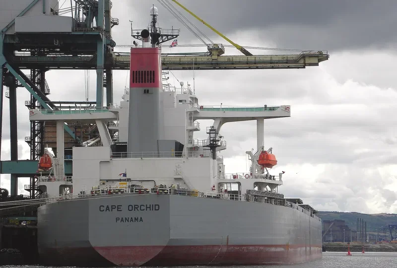 CAPE ORCHID Bulk Carrier IMO 9238571 photo 3