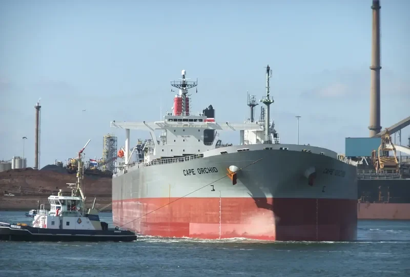 CAPE ORCHID Bulk Carrier IMO 9238571 photo 8