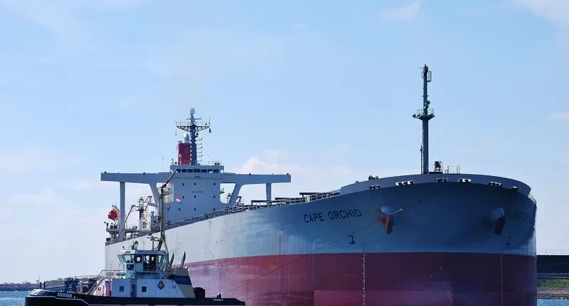 CAPE ORCHID Bulk Carrier IMO 9238571 photo 9