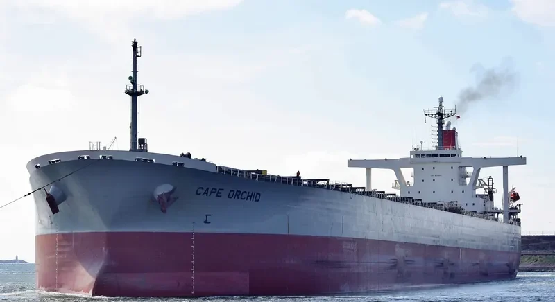 CAPE ORCHID Bulk Carrier IMO 9238571 photo 10
