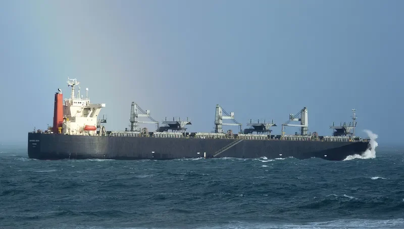 UNIVERSAL GREEN Bulk Carrier IMO 9238583 photo 4