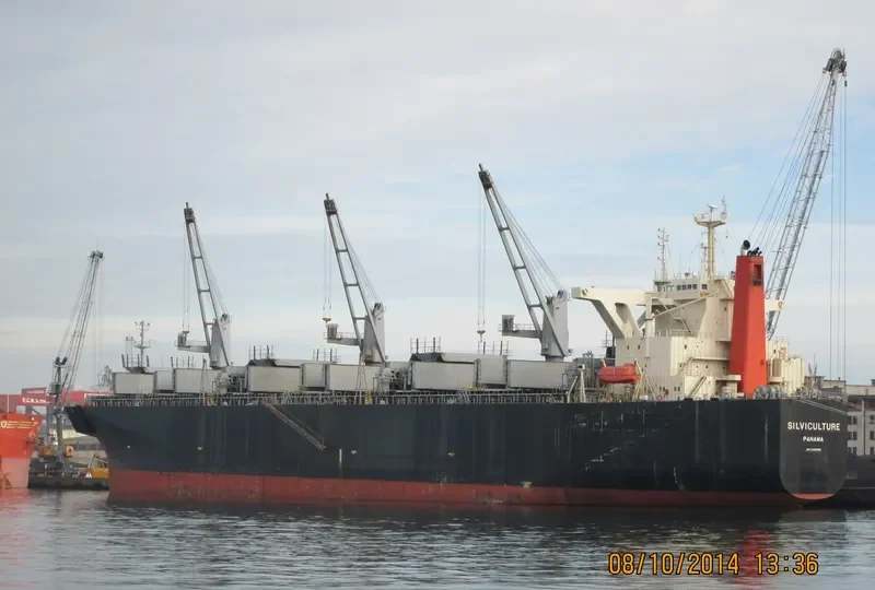 RIZHAO EXPRESS Bulk Carrier IMO 9238595