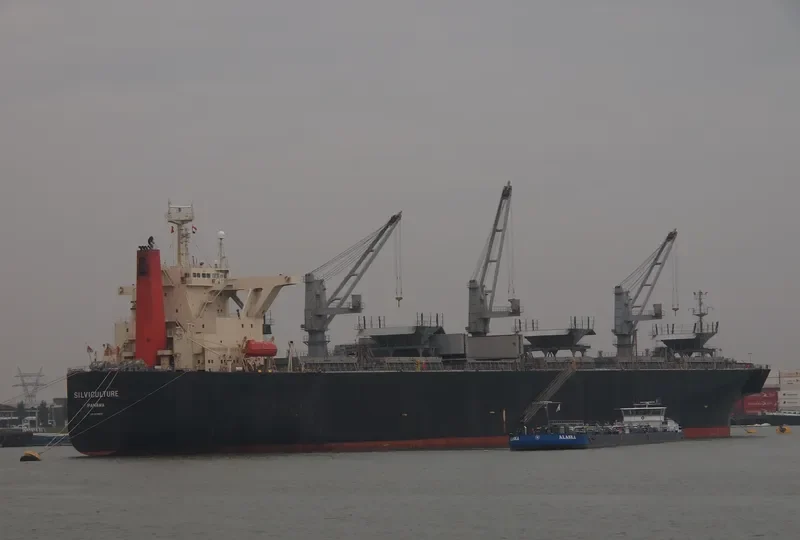 RIZHAO EXPRESS Bulk Carrier IMO 9238595 photo 2