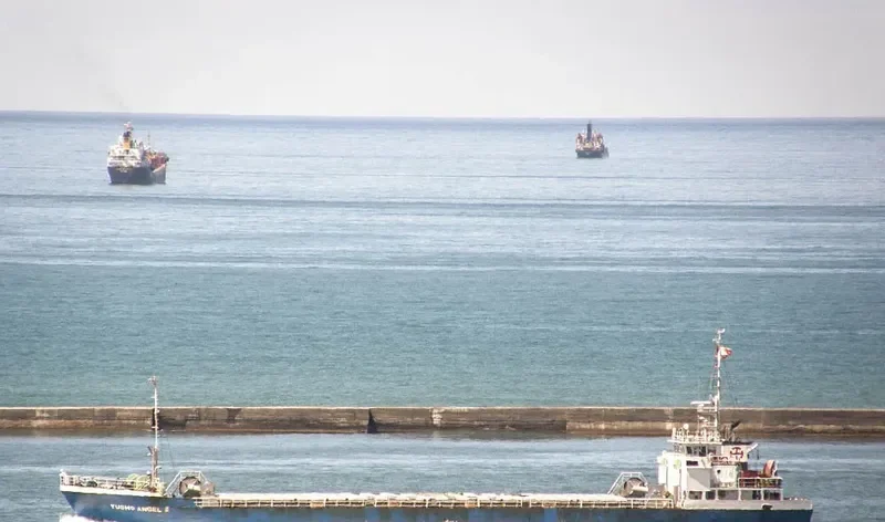 YUSHO ANGEL II General Cargo IMO 9238648