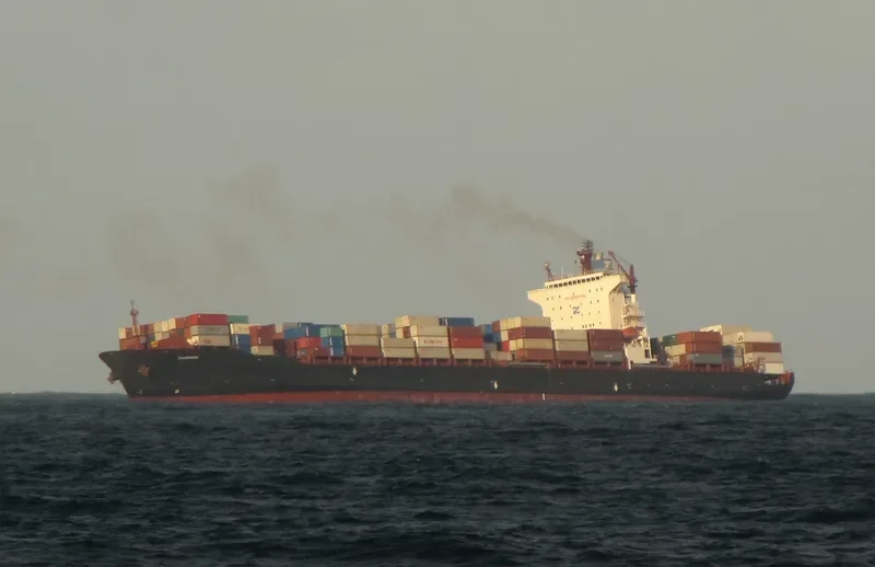 TEMA EXPRESS Container Ship IMO 9238765 photo 6