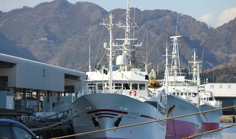 RIASU MARU General Cargo IMO 9238947 photo 8