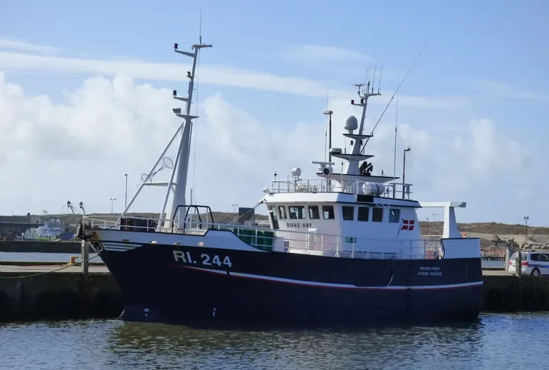 RIKKE HOY General Cargo IMO 9239068