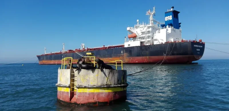 SEAWAYS GOLDMAR Tanker IMO 9239628 photo 2