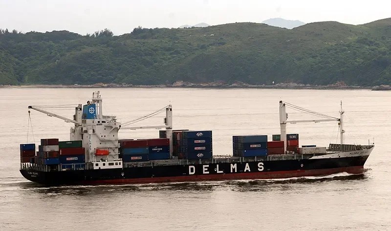 FLORA DELMAS Container Ship IMO 9239862 photo 5