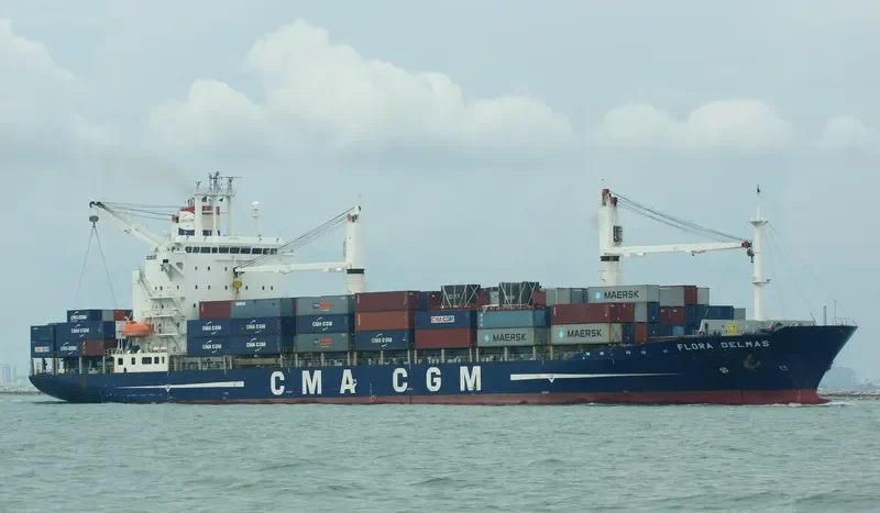 FLORA DELMAS Container Ship IMO 9239862 photo 9