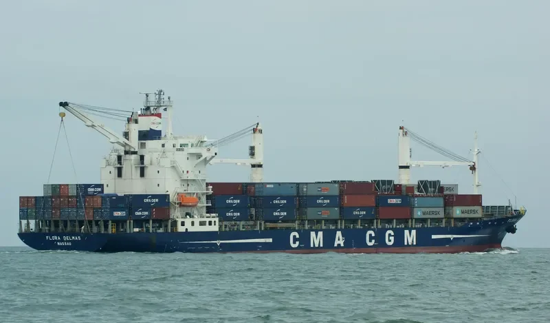 FLORA DELMAS Container Ship IMO 9239862 photo 10