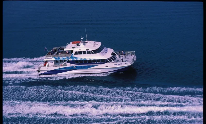 RESOLUTE Passenger Ship IMO 9240029 photo 4